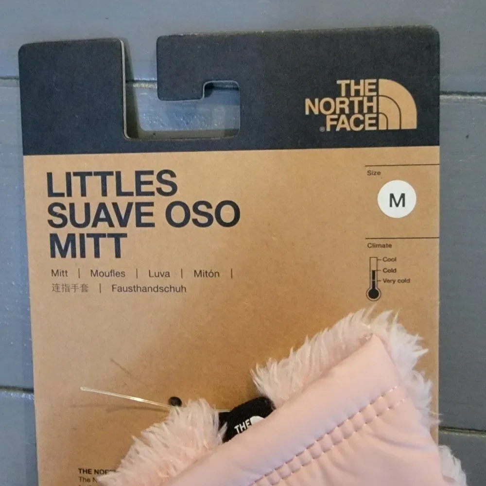 The North Face north face